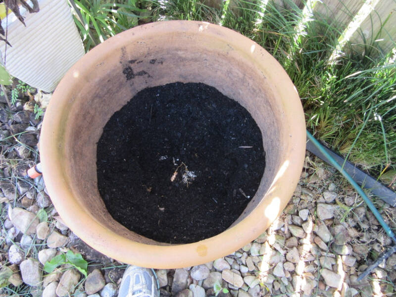 pot with fresh polystyrene and soil.jpg